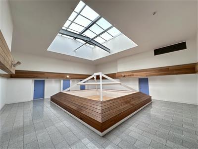 Picture 19